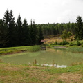 Rybník u lovecké chaty Vykmanov
