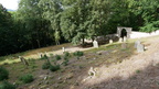 Židovský hřbitov v Hroznětíně